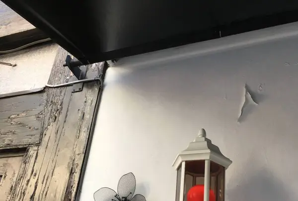 ギオン （gion） の写真・動画_image_484660