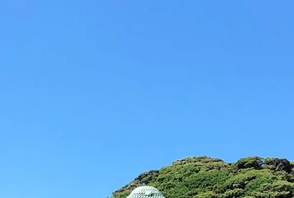 鎌倉大仏（高徳院）の写真・動画_image_485355
