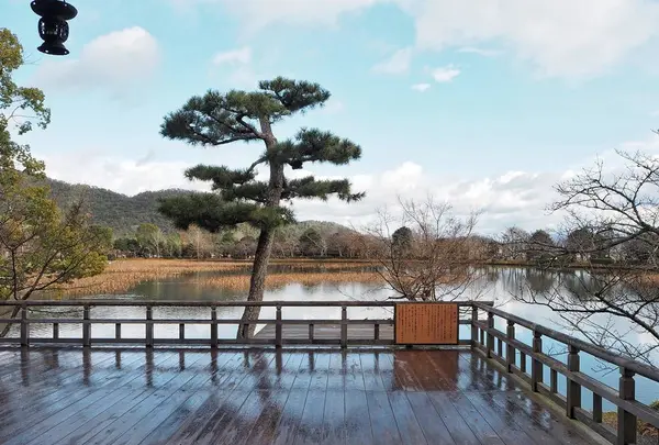 大覚寺の写真・動画_image_486467