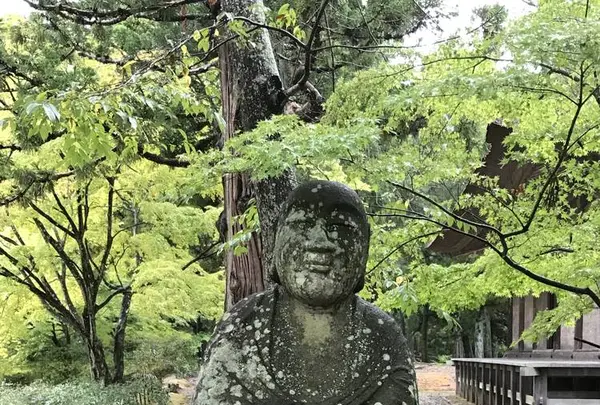 毛越寺の写真・動画_image_486472