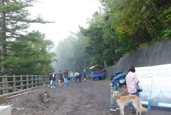 富士山５ごうめの写真・動画_image_486794