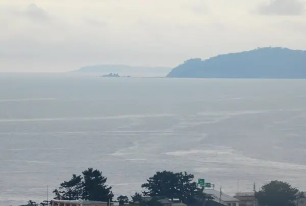 小田原城の写真・動画_image_486801