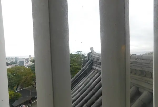 小田原城の写真・動画_image_486802