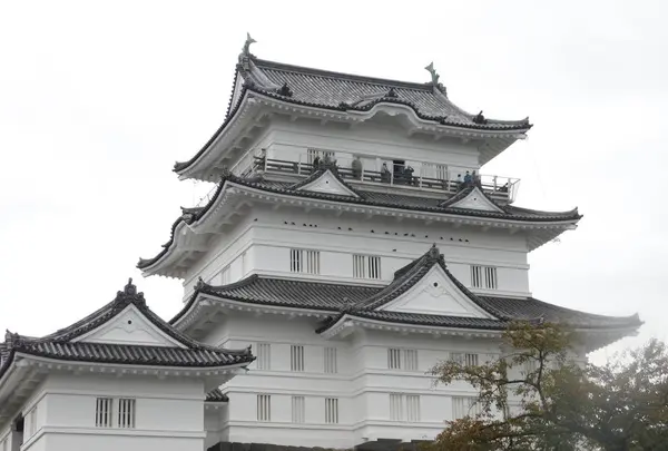 小田原城の写真・動画_image_486806