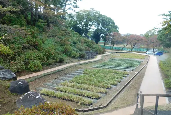 小田原城の写真・動画_image_486809