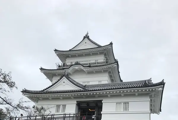 小田原城の写真・動画_image_486812