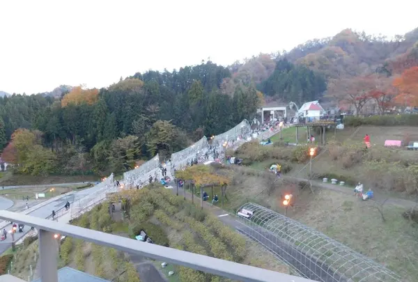 宮ヶ瀬湖畔園地の写真・動画_image_486832