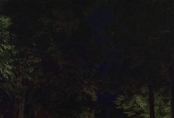 中尊寺の写真・動画_image_486892