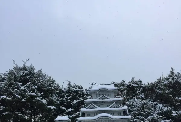東武ワールドスクウェアの写真・動画_image_487261