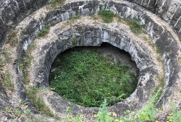 黒崎砲台跡の写真・動画_image_487709