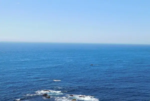 城ケ島の写真・動画_image_488004