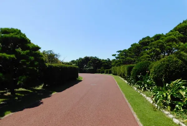 城ケ島の写真・動画_image_488005