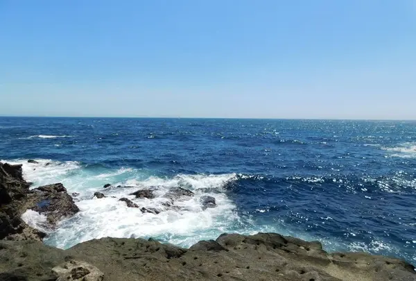 城ケ島の写真・動画_image_488006