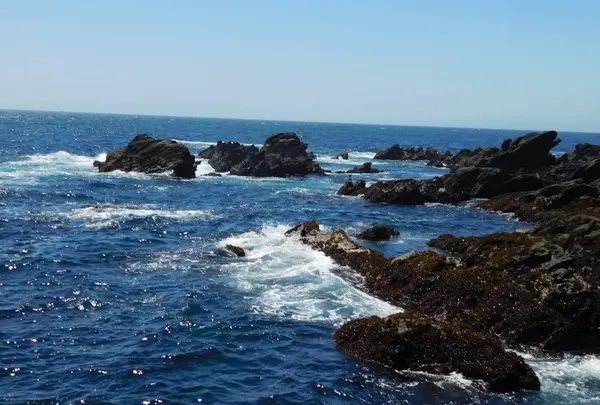 城ケ島の写真・動画_image_488007