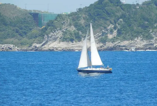 城ケ島の写真・動画_image_488008