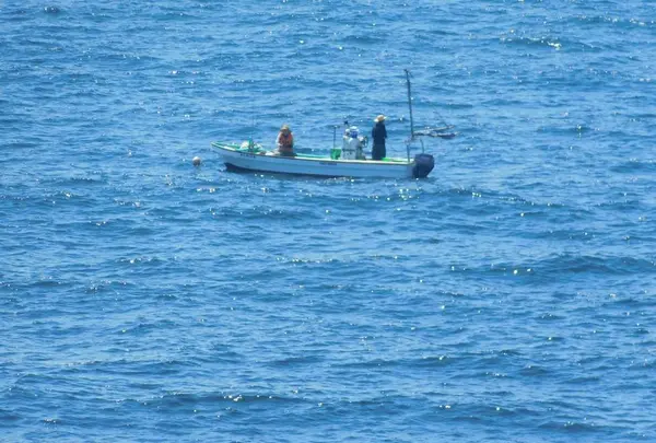 城ケ島の写真・動画_image_488009