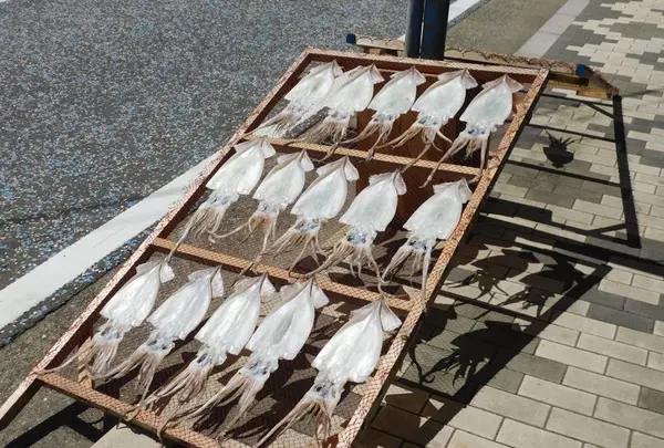 城ケ島の写真・動画_image_488011