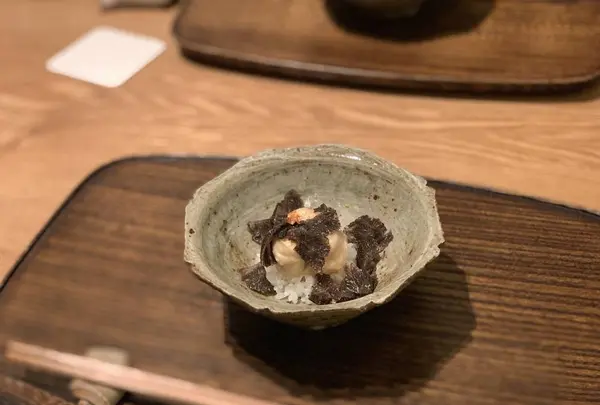 虎白の写真・動画_image_489090