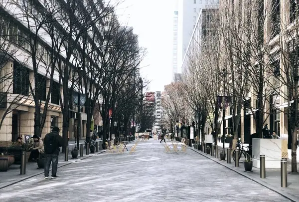 ピエール・エルメの写真・動画_image_489133