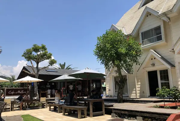 カフェ メロウの写真・動画_image_489388