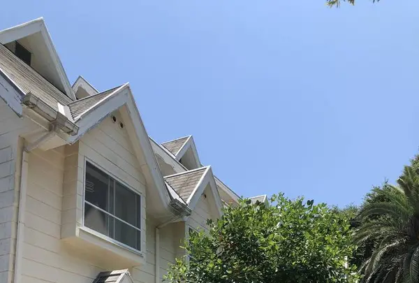 カフェ メロウの写真・動画_image_489389