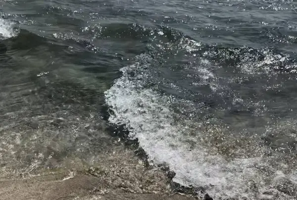 吉佐美大浜海水浴場の写真・動画_image_489414