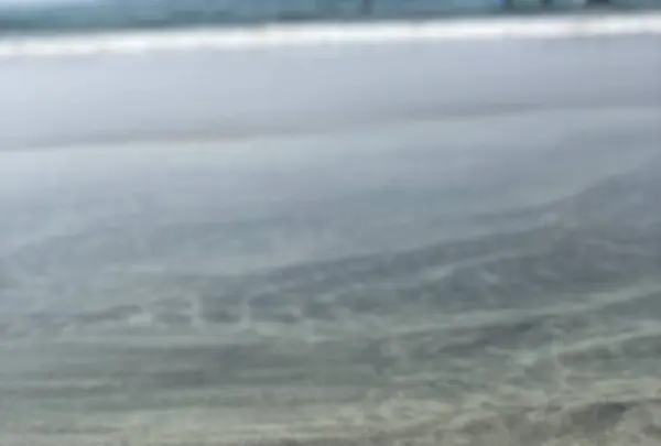 吉佐美大浜海水浴場の写真・動画_image_489415