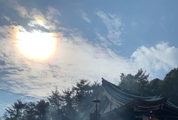 東光寺（門戸厄神）の写真・動画_image_489526