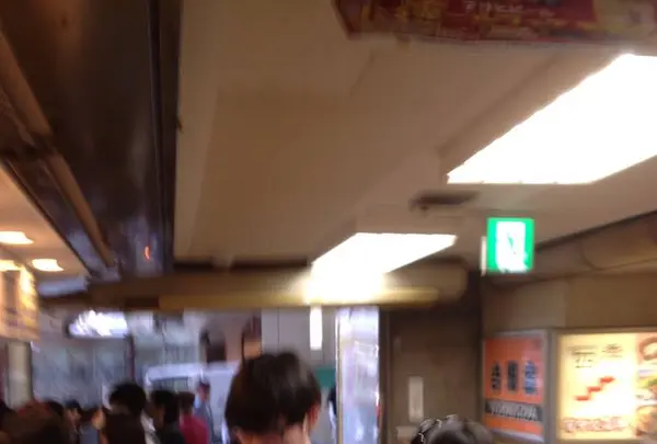 はなだこの写真・動画_image_489728
