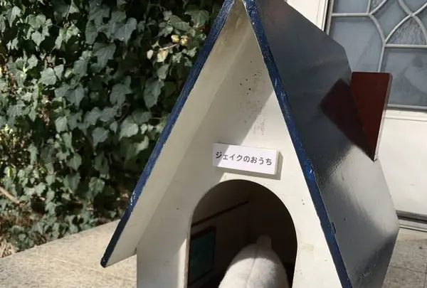 葉祥明美術館の写真・動画_image_490100