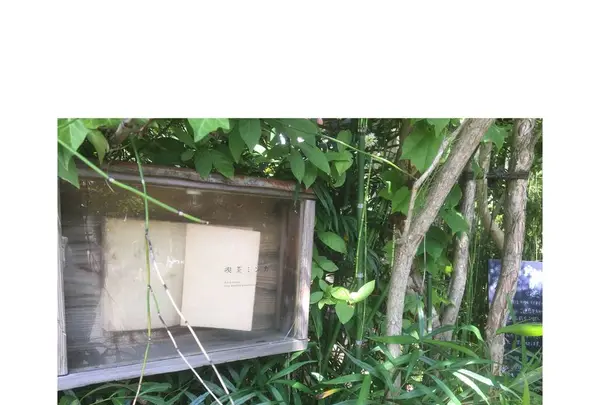 喫茶ミンカの写真・動画_image_490361