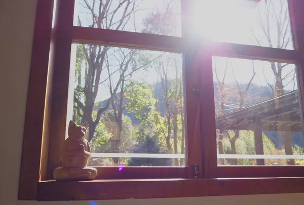 モモカフェの写真・動画_image_490415