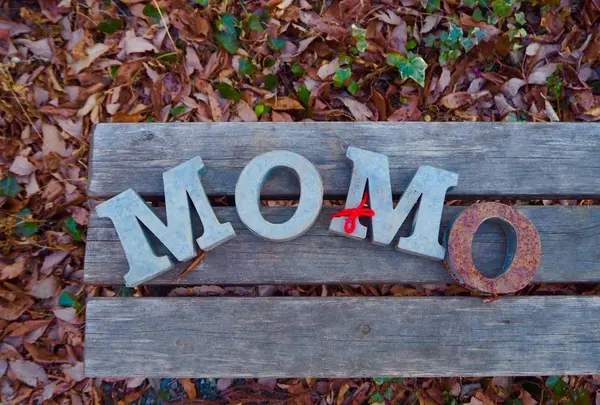 モモカフェの写真・動画_image_490418