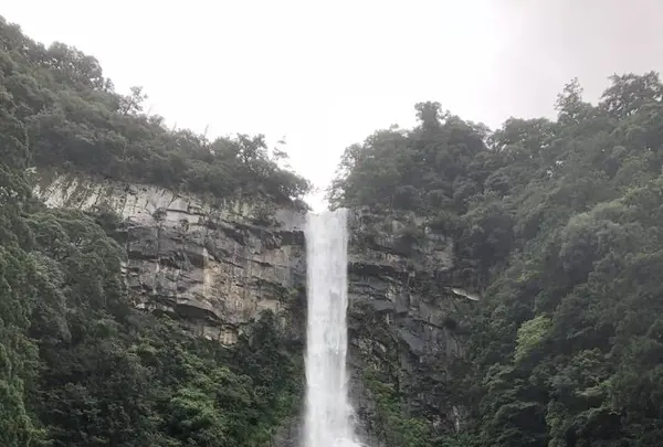 那智勝浦町の写真・動画_image_490664
