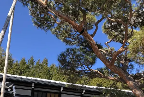 手打ちそば 中仁の写真・動画_image_490693