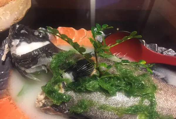 琉宮Ｒｙｕｇｕｕの写真・動画_image_490724