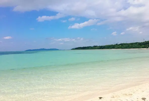 コンドイビーチの写真・動画_image_490735