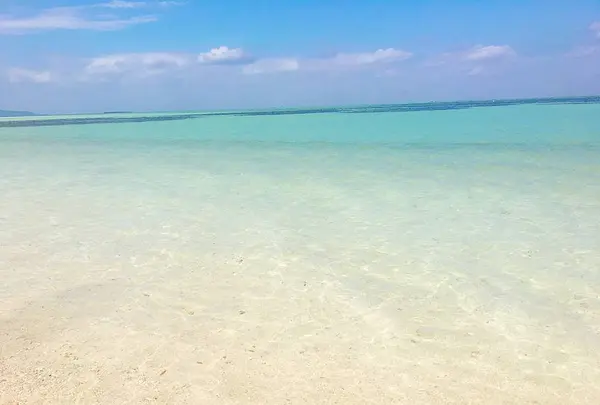 コンドイビーチの写真・動画_image_490736