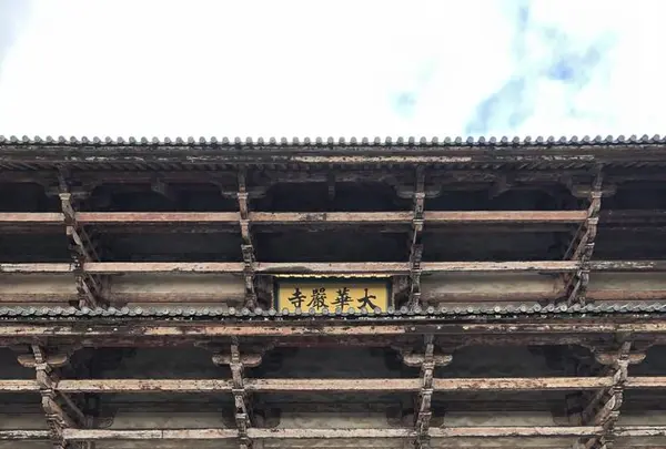 奈良公園の写真・動画_image_490789