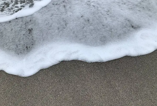 七里ヶ浜の写真・動画_image_491270