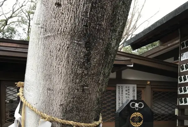 護王神社の写真・動画_image_491538