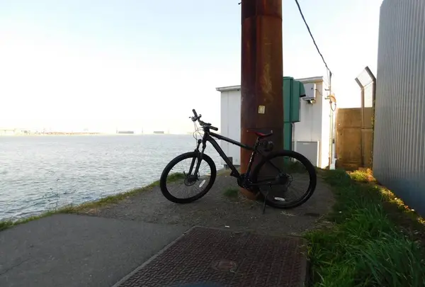 羽田の渡しの写真・動画_image_491683