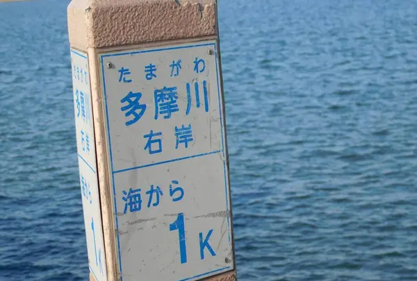 羽田の渡しの写真・動画_image_491685