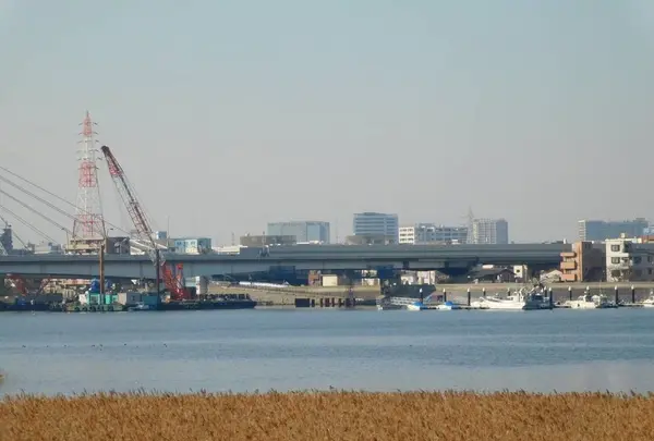 羽田の渡しの写真・動画_image_491687