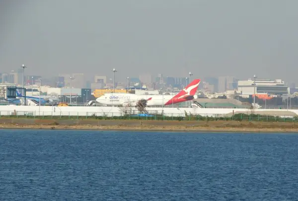 羽田の渡しの写真・動画_image_491688