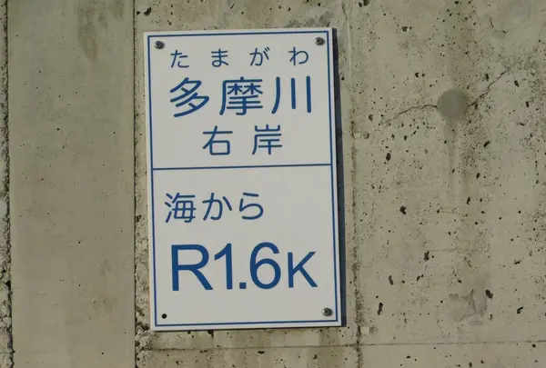 羽田の渡しの写真・動画_image_491689