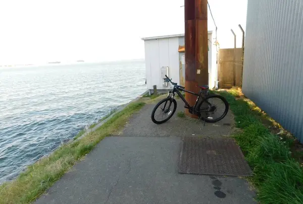 羽田の渡しの写真・動画_image_491690