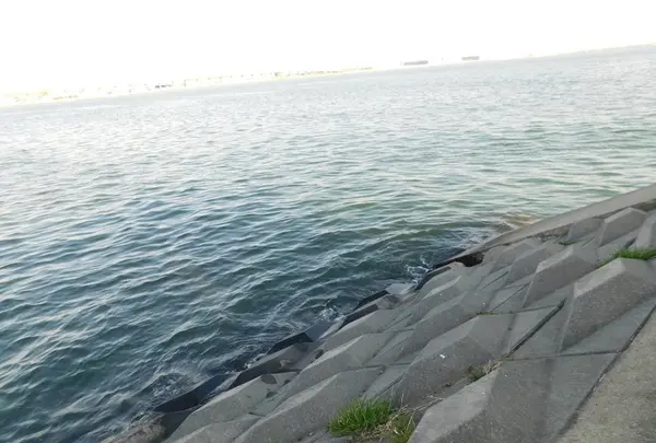 羽田の渡しの写真・動画_image_491691