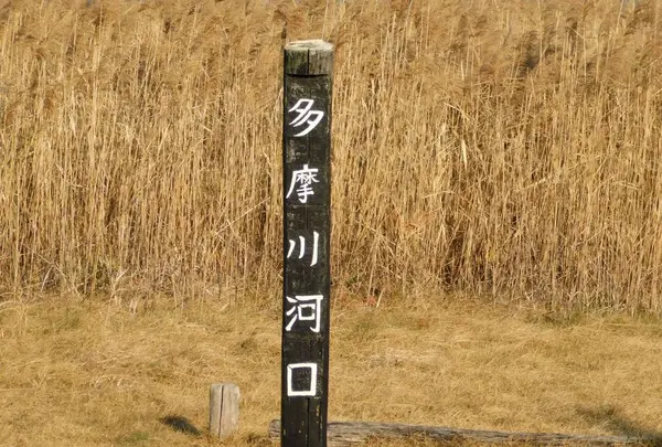 羽田の渡しの写真・動画_image_491695