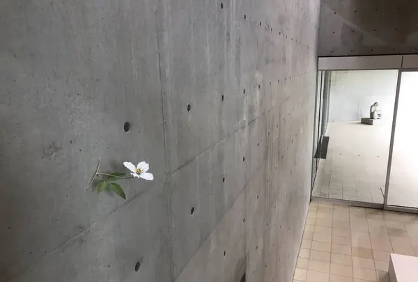 ヴァンジ彫刻庭園美術館の写真・動画_image_491935